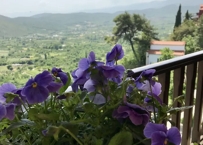 Varosi 4 Seasons 3* エデッサ